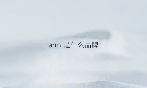 arm 是什么品牌